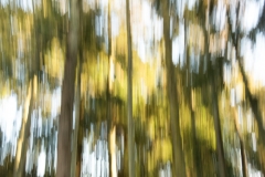 Movement-2